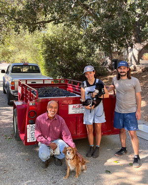 Est Ouest - 'Chief Peak' - Syrah - Ojai, Ventura County, CA - 2021