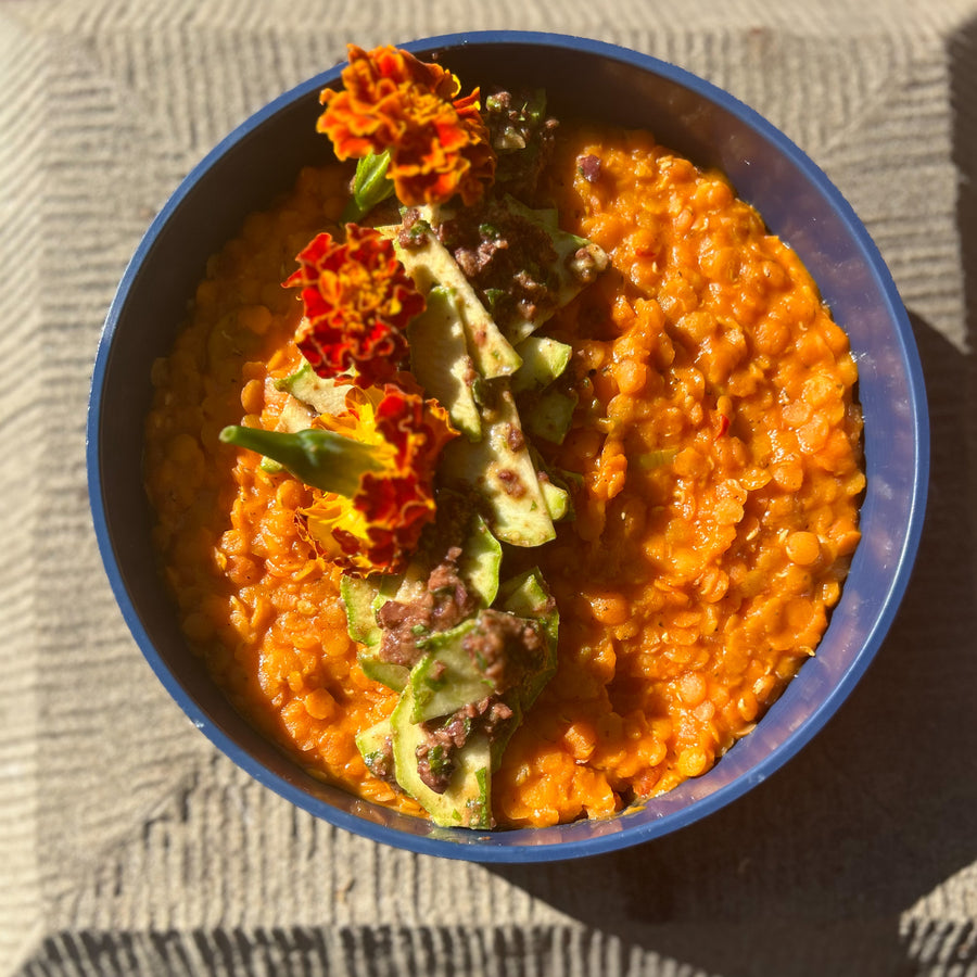 Lentils Bolognese