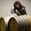Load image into Gallery viewer, Maloof - 'Where Ya PJ's At?' - Pinot Gris, Riesling - Willamette Valley, OR - 2023
