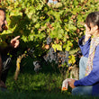 Load image into Gallery viewer, Bobinet - 'Ruben' - Cabernet Franc - Loire Valley, FR - 2020
