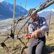 Load image into Gallery viewer, Bastiàn Cuntràri - Nebbiolo - Rosso di Valtellina DOC, Lombardia, IT - 2023
