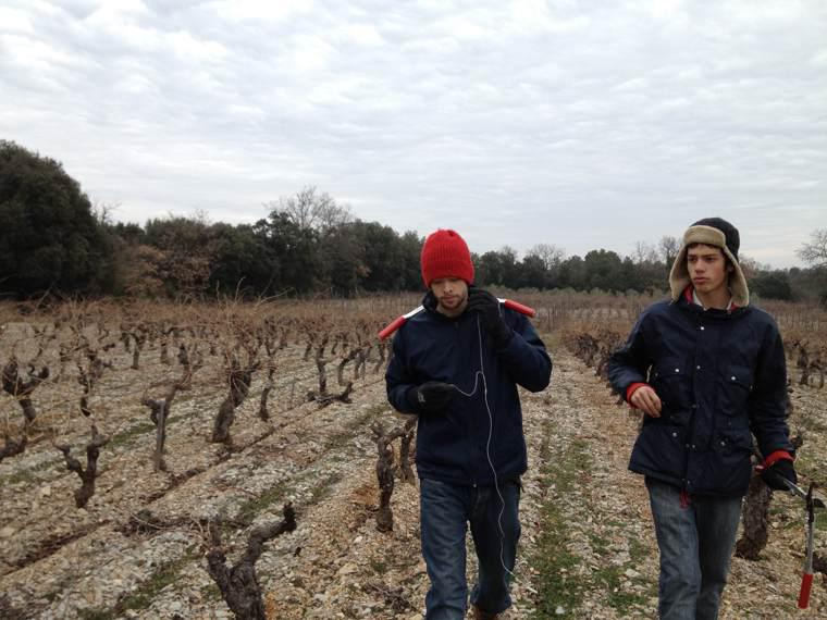 Zélige-Caravent - 'Zazou' - Mourvèdre, Carignan - Languedoc, FR - 2019