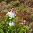 Load image into Gallery viewer, Pedres Blanques - Grenache - Collioure, Roussillon, FR - 2022
