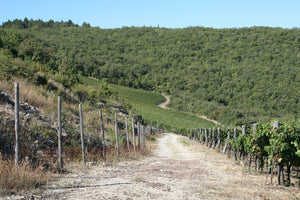 Istine - 'Vermouth Rosato' - Vermouth - Radda in Chianti, IT