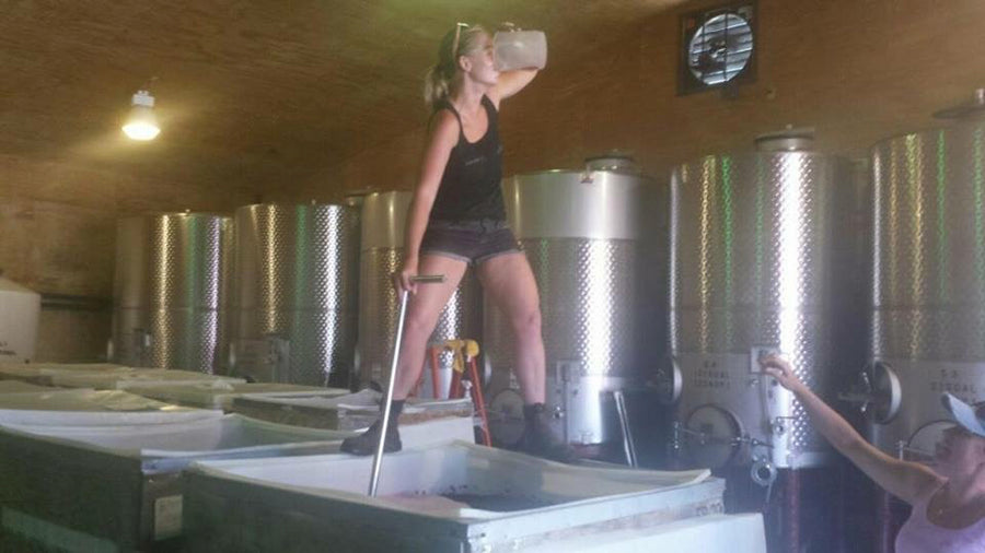 Luna Hart - 'Ballard Adobes' - Sauvignon Blanc - Ballard Canyon, Santa Barbara County, CA - 2024