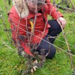 Load image into Gallery viewer, François Chidaine - Rosé of Gamay, Grolleau, Pinot Noir - Touraine, Loire Valley, FR - 2025 producer
