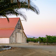 Load image into Gallery viewer, Coquelicot - 'Estate' - Pétnat of Sangiovese - Los Olivos District, CA - 2024 producer
