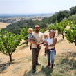 Load image into Gallery viewer, Ambyth - 'Petite Zin' - Petite Sirah, Zinfandel - Paso Robles, CA - 2021
