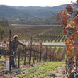 Load image into Gallery viewer, Irene - 'Fenaughty Vineyard' - Syrah - El Dorado, CA - 2018
