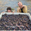 Load image into Gallery viewer, Wavy Wines - 'California Wine Cooler' - Piquette Field Blend - California, USA - 2022
