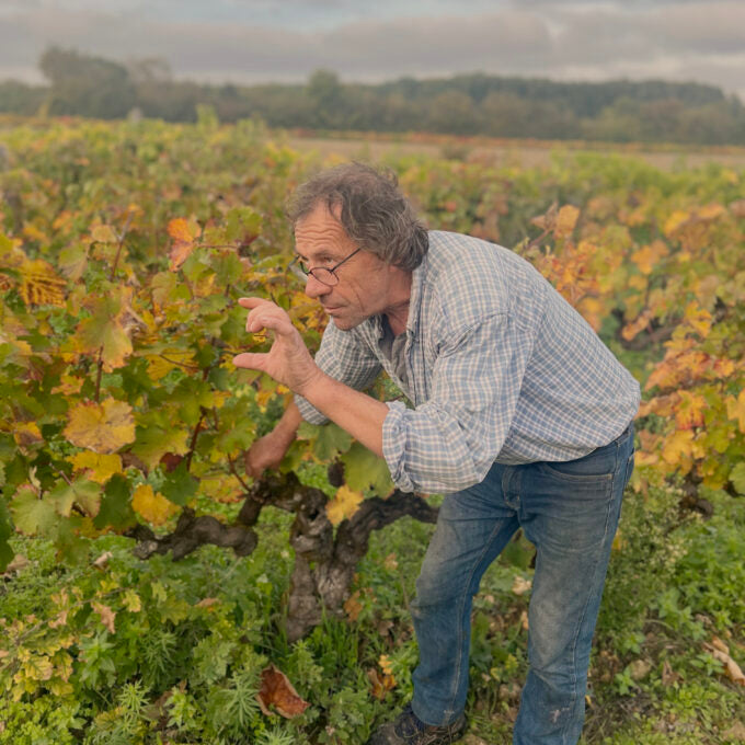 Thierry Hesnault - 'The First One' - Gamay, Amboise - Touraine, Loire Valley, FR - 2022