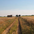 Load image into Gallery viewer, Primitivus - 'Primitivus' - Primitivo - Puglia, IT - 2021 - 1000ml
