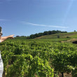 Load image into Gallery viewer, Les Vins du Léman - 'Quintessence' - Chasselas - Savoie, FR - 2019
