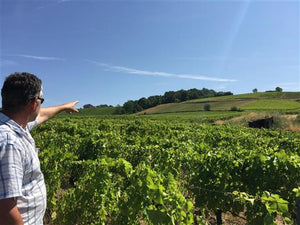 Les Vins du Léman - 'Quintessence' - Chasselas - Savoie, FR - 2019