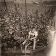 Load image into Gallery viewer, Kox - 'L&amp;R' - Elbling - Côte de Remich, LU - 2020 - 1000ml
