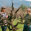 Load image into Gallery viewer, Las Vivas - 'Mountain Cuvée' - Pinot Noir, Chardonnay, Pinot Gris - Sonoma Mountain, CA - 2022
