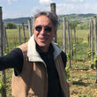 Load image into Gallery viewer, Silvio Messana - 'Bianco' - Trebbiano - Tuscany, IT - 2021
