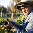 Load image into Gallery viewer, Domaine Val d'Argan - 'la Perle Noire de Mogador' - Grenache, Syrah, Mourvedre - Essaouira, MO - 2018

