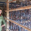 Load image into Gallery viewer, Le Corti - 'Chianti Classico' - Sangiovese - Toscana, IT - 2018
