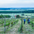 Load image into Gallery viewer, Straka - 'Stratos' - Welschriesling Blend - Burgenland, AT - 2020
