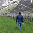 Load image into Gallery viewer, De Vescovi Ulzbach - 'Rosso Ulzbach' - Teroldego - Trentino-Alto Adige, IT - 2021
