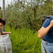 Load image into Gallery viewer, Podere Casaccia - 'Priscus' - Sangiovese - Tuscany, IT - 2019
