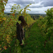 Load image into Gallery viewer, Kox - 'L&amp;R' - Elbling - Côte de Remich, LU - 2020 - 1000ml
