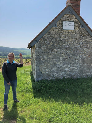 Emmanuelle Mellot - Pinot Noir - Loire Valley, FR - 2022