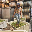Load image into Gallery viewer, Lady of the Sunshine - 'Stolpman Vineyard' - Sauvignon Blanc - Ballard Canyon, CA - 2022

