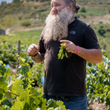 Load image into Gallery viewer, Raul Perez - Castro Candaz - Mencia Blend - Bierzo, ES - 2020
