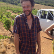 Load image into Gallery viewer, Domaine du Possible - 'C'est pas la mer à boire' - Grenache, Syrah, Carignan - Côtes du Roussillon, FR - 2019
