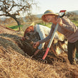 Load image into Gallery viewer, Âmevive - 'Martian Ranch' - Albariño - Santa Barbara County, CA - 2022

