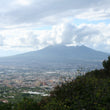 Load image into Gallery viewer, Villa Dora - Piedirosso - Mount Vesuvius, Campania, IT - 2020
