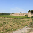 Load image into Gallery viewer, Perrini - 'Senza Solfiti Aggiunti' - Primitivo - Salento, Puglia, IT - 2020
