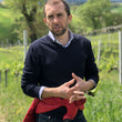 Load image into Gallery viewer, Fongoli - 'Rossofongoli' - Sangiovese, Montepulciano - Umbria, IT - 2019
