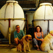 Load image into Gallery viewer, Terracanta - 'Sfuso d'Anfora' - Trebbiano - Lazio, IT - 2021 - 3000ml
