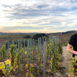 Load image into Gallery viewer, Stolpman - 'Uni' - Roussanne Blend - Ballard Canyon, CA - 2021

