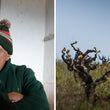 Load image into Gallery viewer, Can Sumoi - Garnatxa, Sumoll - Penedes, Catalonia, ES - 2020
