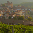 Load image into Gallery viewer, Camerano - Barbera - Alba, Piemonte, IT - 2017
