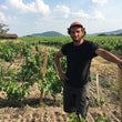 Load image into Gallery viewer, Quentin Harel - 'Charron' - Gamay - Beaujolais, FR - 2021
