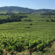 Load image into Gallery viewer, Damien Coquelet - 'Chiroubles' - Gamay - Beaujolais, FR - 2020
