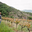 Load image into Gallery viewer, Martin Texier - Cinsault, Grenache - Rhône Valley, FR - 2021
