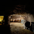 Load image into Gallery viewer, Thibault Stephan - 'Bacchus' - Cabernet Franc - Loire Valley, FR - 2021
