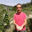 Load image into Gallery viewer, Ferdinando Principiano - 'Dosset' - Dolcetto - Monforte, Piemonte, IT - NV
