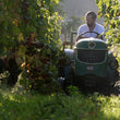 Load image into Gallery viewer, Bobinet - 'Piak!' - Cabernet Franc - Loire Valley, FR - 2022
