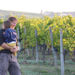 Load image into Gallery viewer, Le Bordeaux de Paysan - Sauvignon Blanc - Bordeaux, FR - 2021
