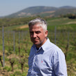 Load image into Gallery viewer, Colle Stefano - 'Litrozzo' - Verdicchio - Matelica, Marche, IT - 2022 - 1000ml
