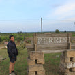 Load image into Gallery viewer, Perrini - 'Senza Solfiti Aggiunti' - Primitivo - Salento, Puglia, IT - 2020
