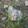 Load image into Gallery viewer, Arribas - 'Saroto Rosado' - Rosé of Field Blend - Trás-os-Montes, PT - 2021
