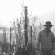 Load image into Gallery viewer, Ardure - 'DANG!' - Muscat Canelli - Luchsinger Vineyard, Lake County, CA - 2021
